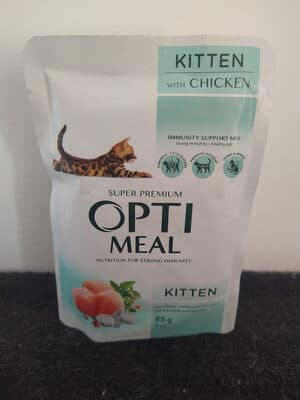 kitten
