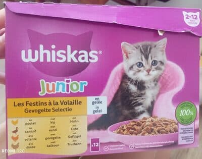 Les festins à la volaille