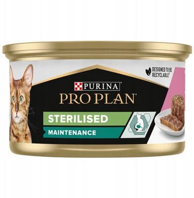Pâté chats
