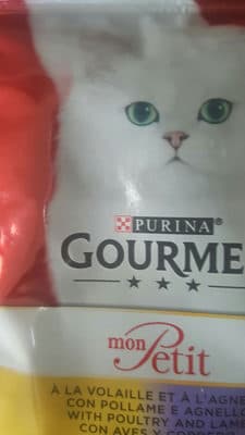 gourmet purina