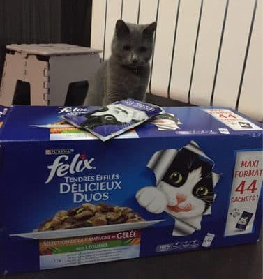 Tendres éffilés délicieux duos