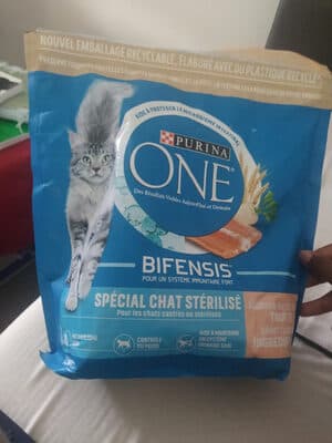 Croquettes pour chat