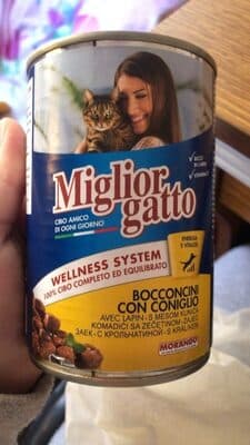 Miglior gatto Bocconcini con coniglio