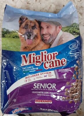 Miglior cane Senior