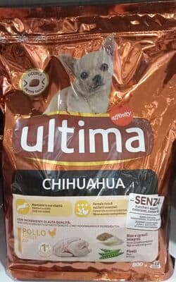 Chihuahua Poulet