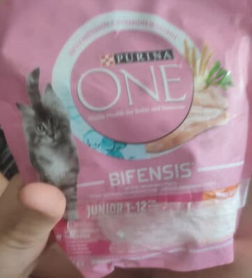 Purina One Junior 1-12 meses