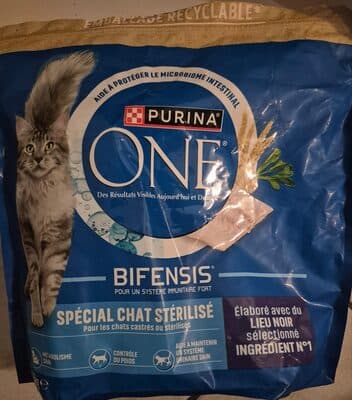 Croquettes pour Chat Stérilisé au Lieu Noir