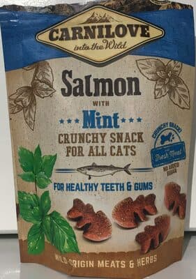 Salmon with mint