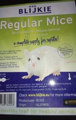 Souris Blanches Adultes