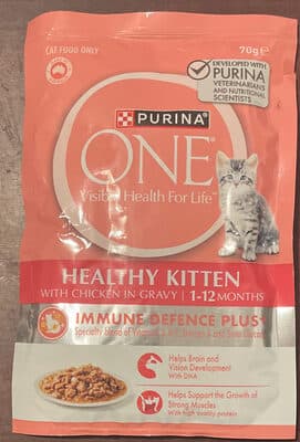 Healthy Kitten With Chicken in Gravy