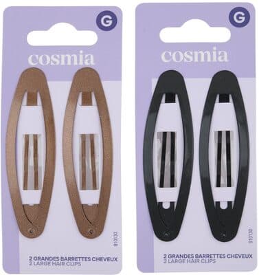 2 grandes barrettes cheveux