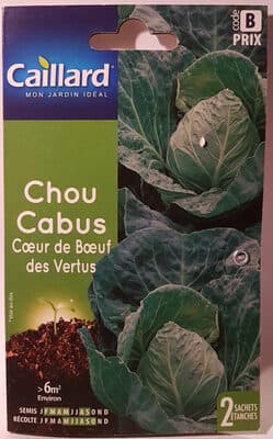 Chou Cabus Cœur de Bœuf des Vertus