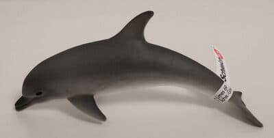 Delfin